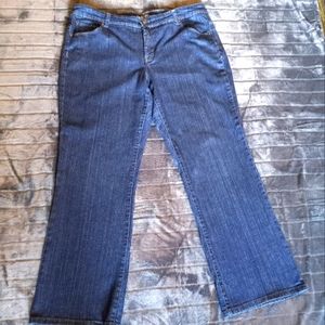 Style & Co Tummy Control Blue Jeans